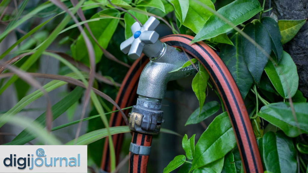 What Is the Best Garden Hose