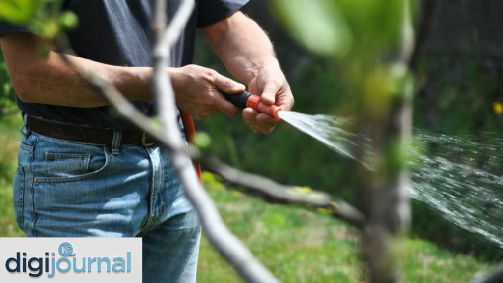 Best Garden Hose Repair Kit